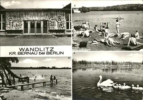 Wandlitz Liepsnitzsee Wandlitzsee Strandbad Schwanenfamilie Kat. Wandlitz