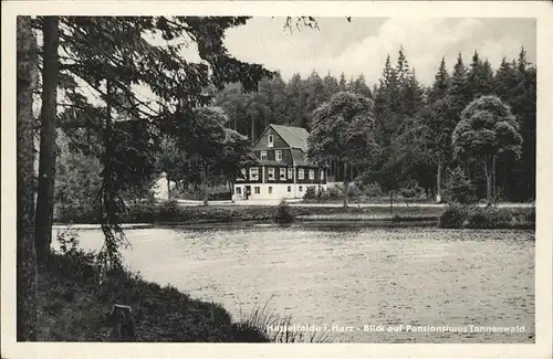 Hasselfelde Pensionshaus Tannenwald Kat. Hasselfelde