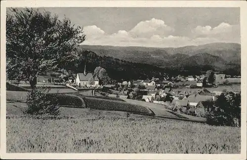 Hinterhermsdorf Panorama Kat. Sebnitz