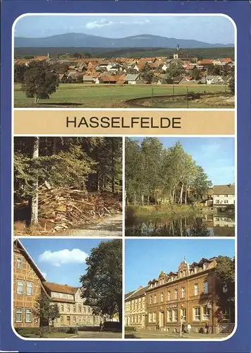 Hasselfelde FDGB Erholungsheim Zur Krone Kat. Hasselfelde