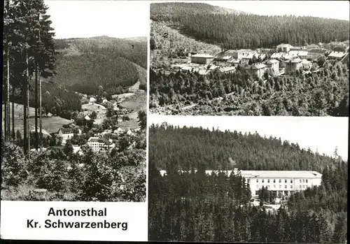 Antonsthal Kr. Schwarzenberg Wald Sanatorium natuerliche Heilweise Kat. Breitenbrunn Erzgebirge