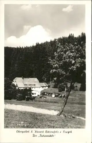 Oberpoebel Putzmuehle Kat. Schmiedeberg Osterzgebirge