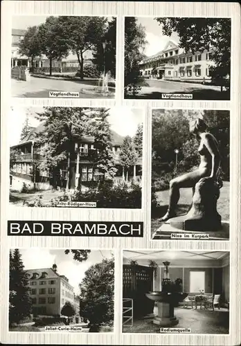 Bad Brambach Vogtlandhaus Nixe Kurpark Radiumquelle Kat. Bad Brambach