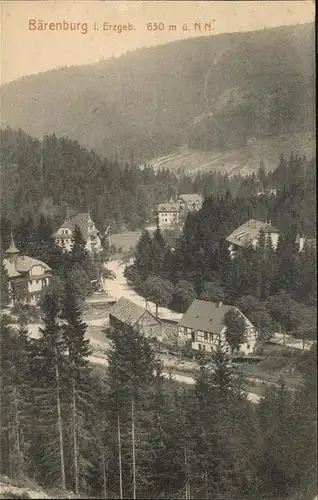 Baerenburg Sachsen  / Altenberg /Saechsische Schweiz-Osterzgebirge LKR