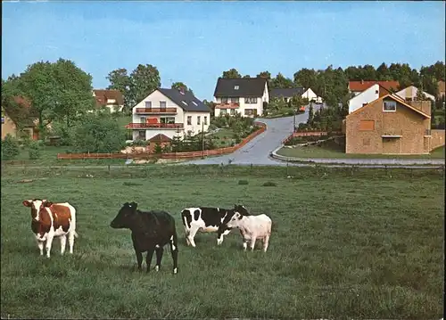 Hoesseringen Boetzelberg Kuehe Kat. Suderburg