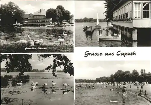 Caputh Gasstaette Faehrhaus Schwaene Baden Seebad Kat. Schwielowsee