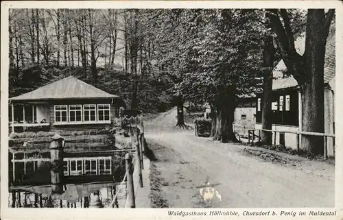 Chursdorf Penig Muldental Waldgasthof Hoellmuehle Paul Henschel Kat. Penig