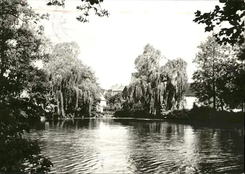 Falkenhain Wurzen Kuechenteich Kat. Falkenhain Wurzen