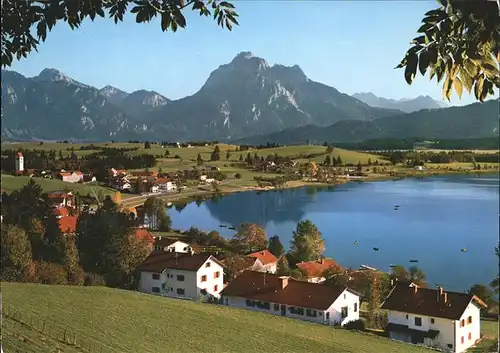 Hopfen See Panorama Tiroler Alpen Kat. Fuessen