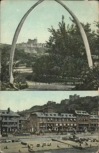 Dover Kent Jaw Bones of Whale Connaught Park / Dover /Kent CC