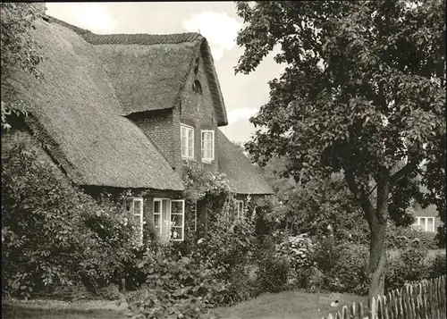 Nebel Amrum Friesenhaus Kat. Nebel