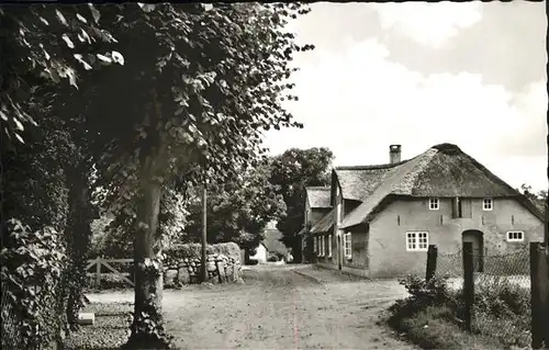 Boldixum Holm Kat. Wyk auf Foehr