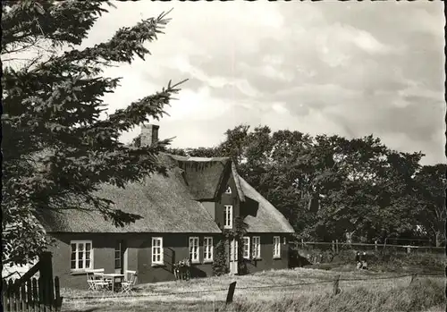 Sueddorf Amrum Nordseebad altes Friesenhaus / Nebel /Nordfriesland LKR