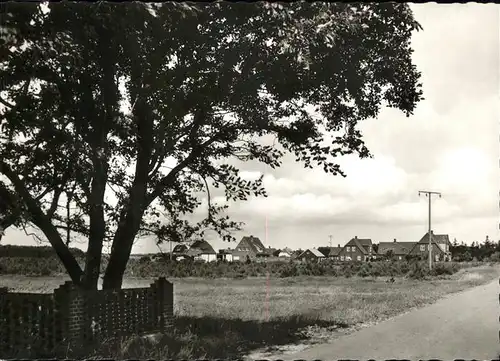 Sueddorf Amrum Nordseebad Teilansicht / Nebel /Nordfriesland LKR