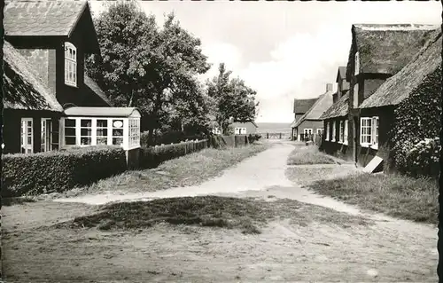 Nebel Amrum Weg Watt Kat. Nebel