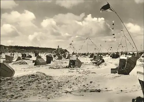 Langeoog Duenen Kat. Langeoog