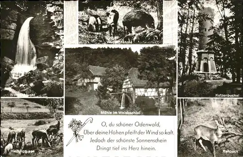 Oberdielbach Katzenbuckel Wolfsschlucht Muehle im Weisbachtal Kat. Waldbrunn