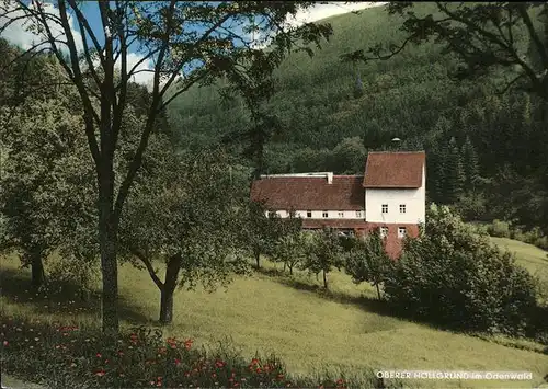 Oberdielbach Oberer Hoellgrund Kat. Waldbrunn