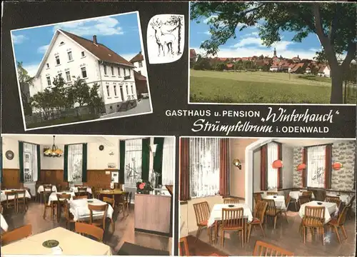 Struempfelbrunn Gasthaus Pension Winterhauch H. Edelmann Kat. Waldbrunn