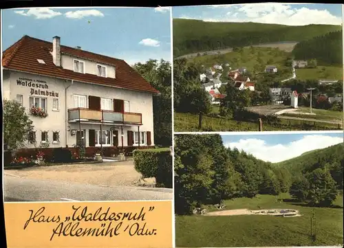 Allemuehl Gasthaus Pension Waldesruh Kat. Schoenbrunn