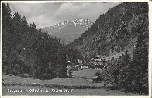 Bad Gastein Koetschachtal Gruener Baum Kat. Bad Gastein