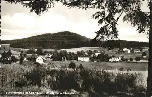 Reichenbach Nagel Gesamtansicht Kat. Nagel