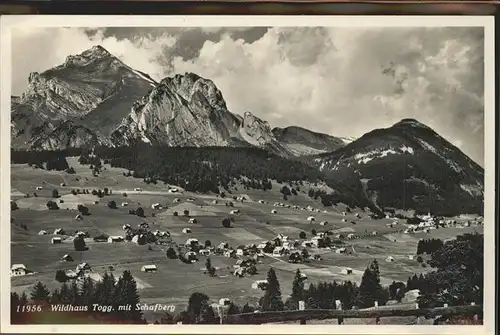 Wildhaus SG mit Schafberg Kat. Wildhaus