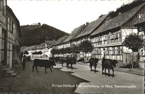 Bad Lauterberg Viehtrieb "Damenkapelle" Burg Kat. Bad Lauterberg im Harz