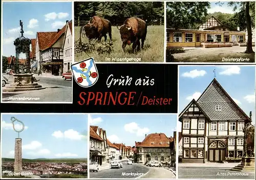 Springe Deister Marienbrunnen Wisentgehege Bueffel Deisterpforte Goebel Bastei Marktplatz Altes Petershaus Fachwerkhaus Stadtwappen Kat. Springe