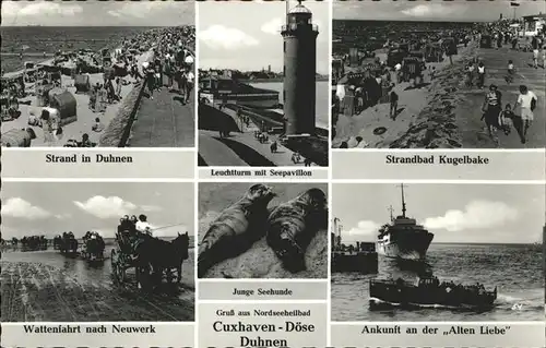Doese Strandbad Kugelbake Junde Seehunde Leuchtturm Saapavillon Kat. Cuxhaven
