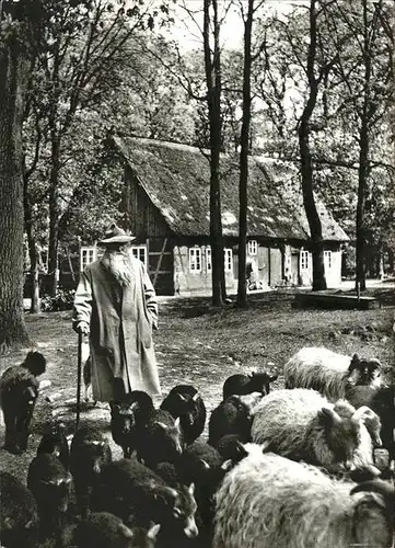 Wilsede Lueneburger Heide Schnuckenschaefer / Bispingen /Soltau-Fallingbostel LKR