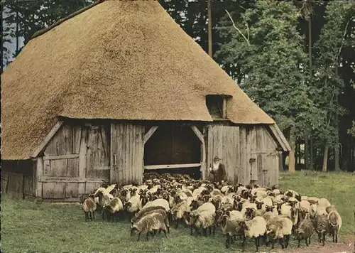 Wilsede Lueneburger Heide Schafstall / Bispingen /Soltau-Fallingbostel LKR