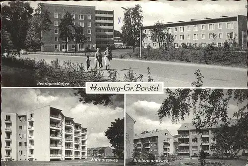 Hamburg Gr. Borstel Beerbomstuecken Kat. Hamburg