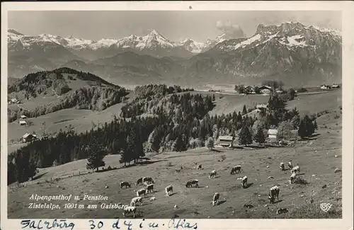 Gaisberg Zistelalpe Alpengasthof Pension Kat. Salzburg