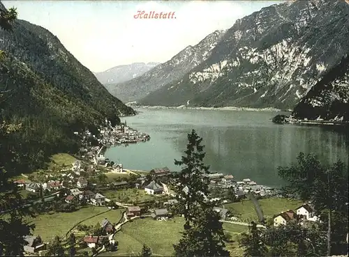 Hallstatt Salzkammergut See / Hallstatt /Traunviertel