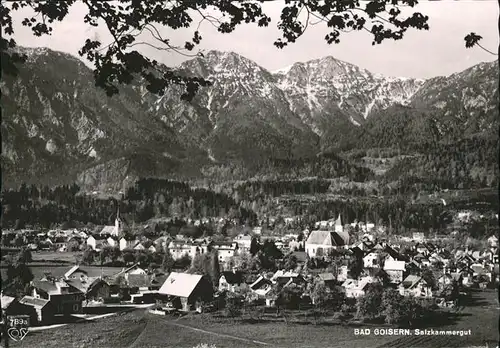 Bad Goisern Salzkammergut  / Bad Goisern /Traunviertel