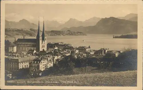 Luzern LU Buergenstock Obertauen Toedi Kat. Luzern