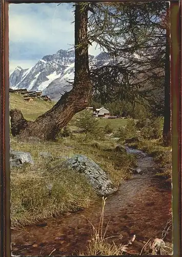 Fafleralp Loetschental Schinhorn Kat. Kandersteg