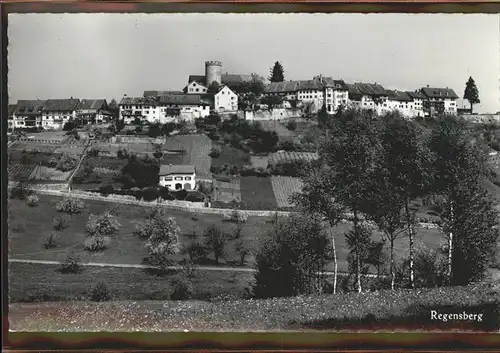 Regensberg Dielsdorf Loewen Restaurant  Kat. Regensberg