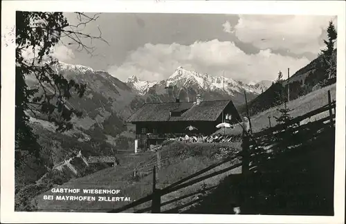 Mayrhofen Gasthof Wiesenhof Zillertaler Alpen Kat. Mayrhofen