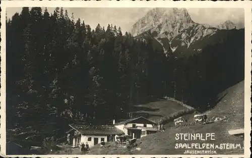 Saalfelden Steinernes Meer Steinalpe Jausenstation Pinzgauer Saalachtal Steinerne Meer / Saalfelden am Steinernen Meer /Pinzgau-Pongau