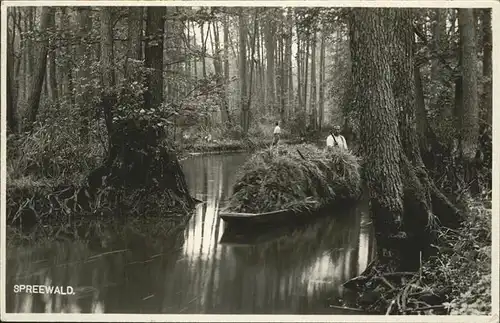 Spreewald Heufahrt Kat. Luebbenau