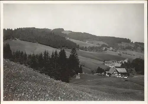 Wolfhalden AR Ferienheim Schonenbuehl Kat. Wolfhalden