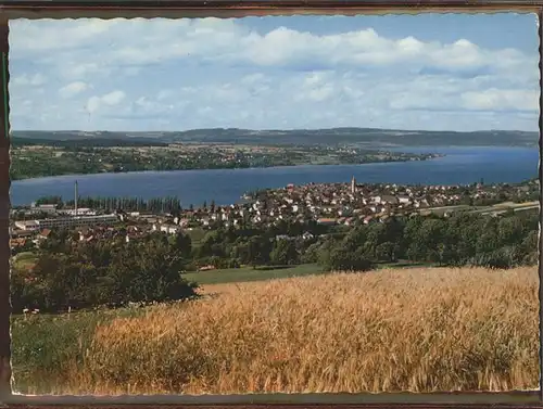 Steckborn TG Felder