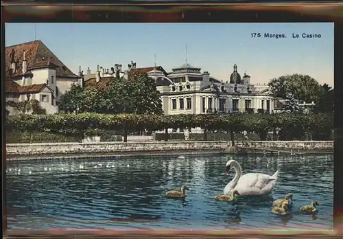 Morges Le Casino Lac Leman Schwaene Kat. Morges