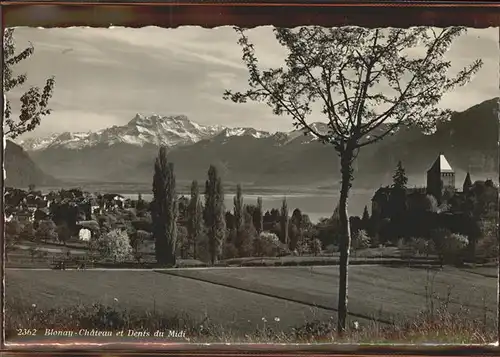 Blonay Chateau Dents du Midi Wallis Lac Leman Kat. Blonay