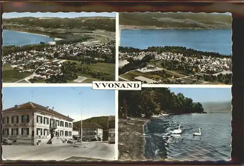 Yvonand Vue generale Lac de Neuchatel Schwaene Kat. Yvonand