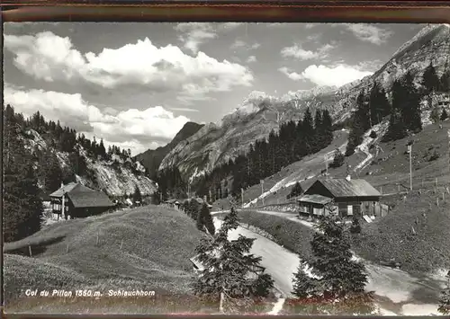 Le Sepey Col du Pillon Schlauchhorn Kat. Le Sepey