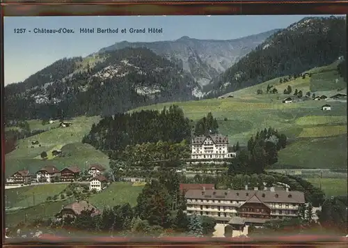 Chateau d Oex Hotel Berthod et Grand Hotel Waadtlaender Alpen Kat. Chateau d Oex