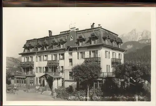 Chateau d Oex Hotel Pension Beau Sejour Waadtlaender Alpen Kat. Chateau d Oex